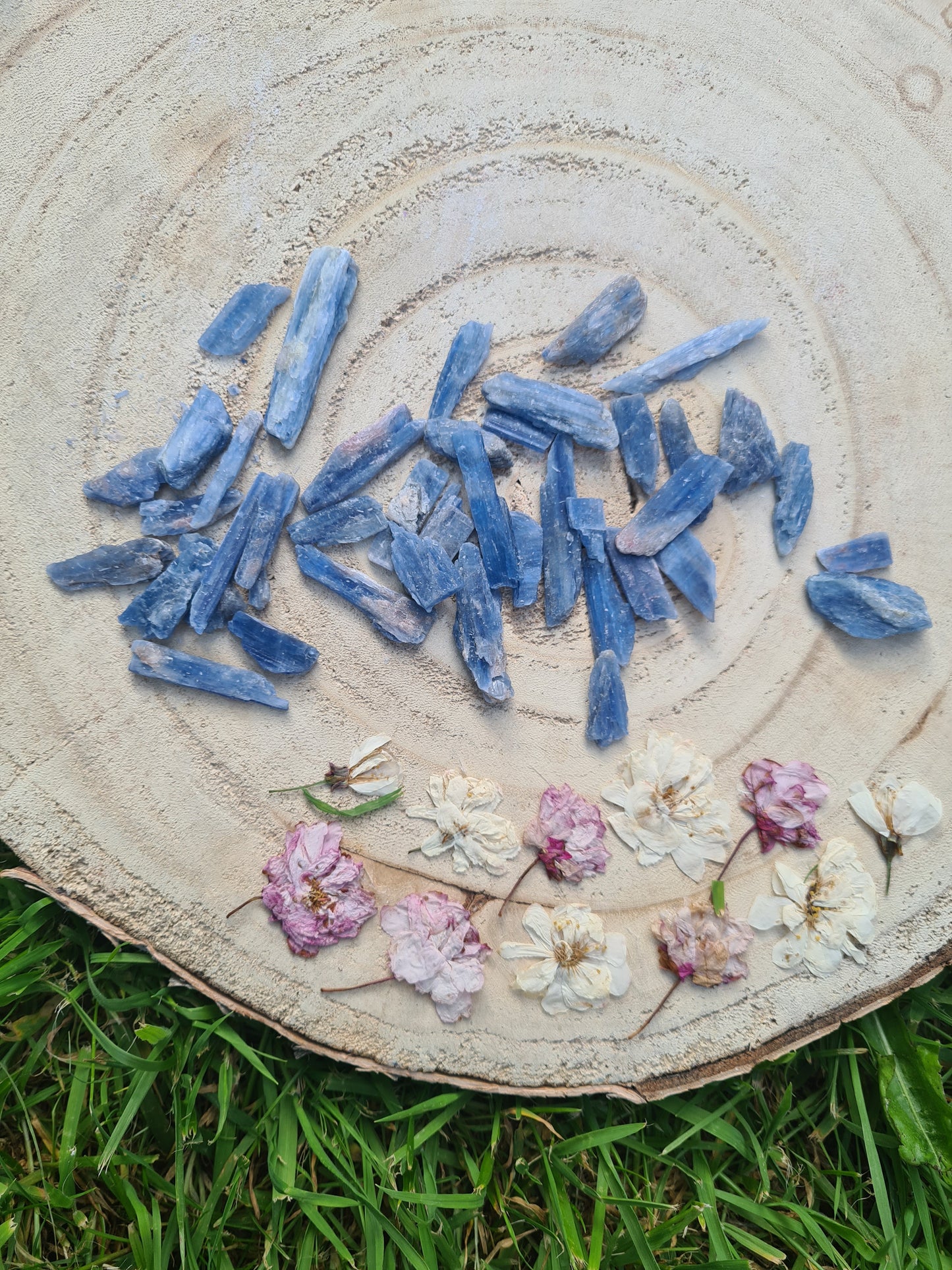 Rough Blue Kyanite Blades