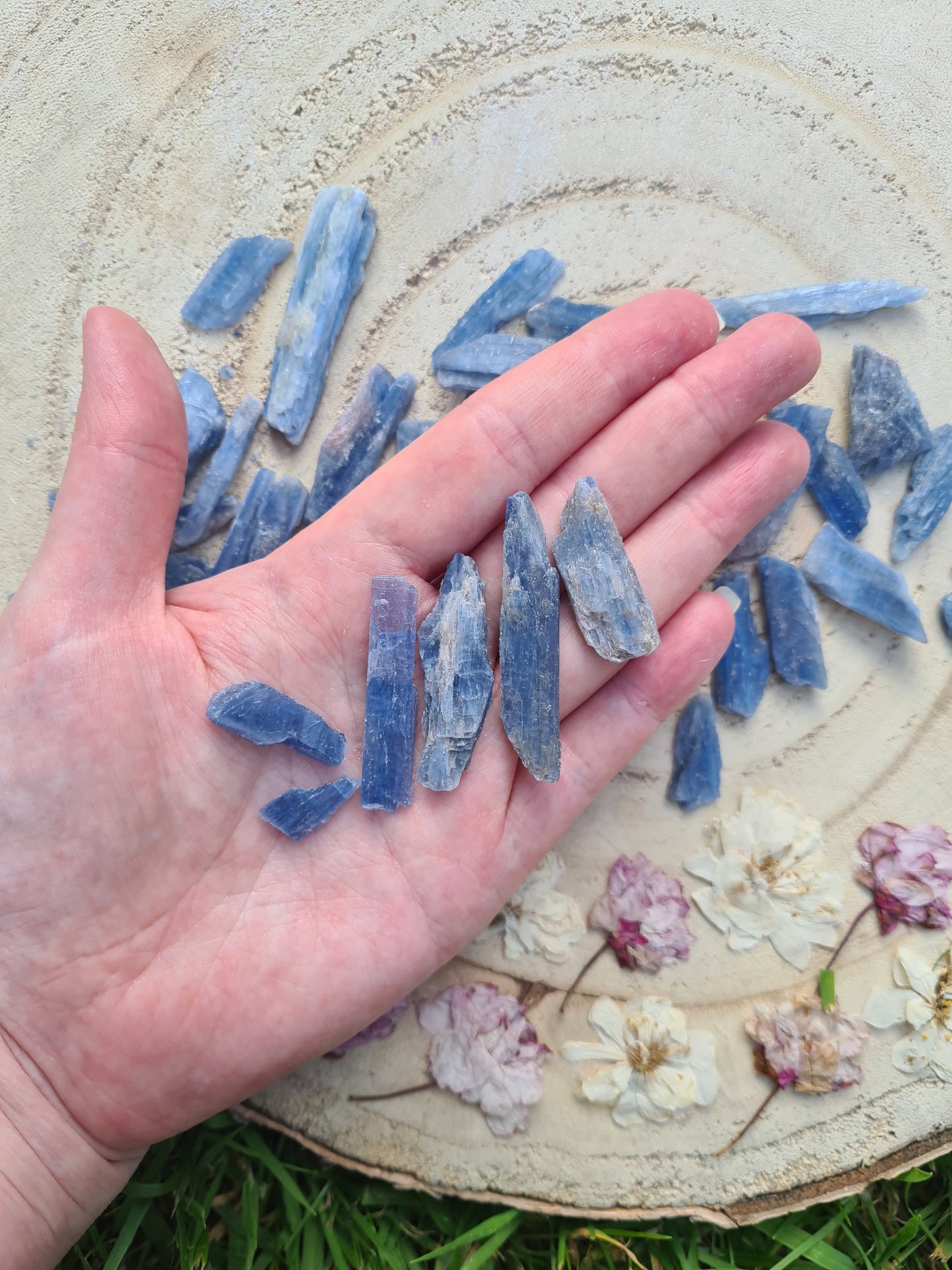 Rough Blue Kyanite Blades