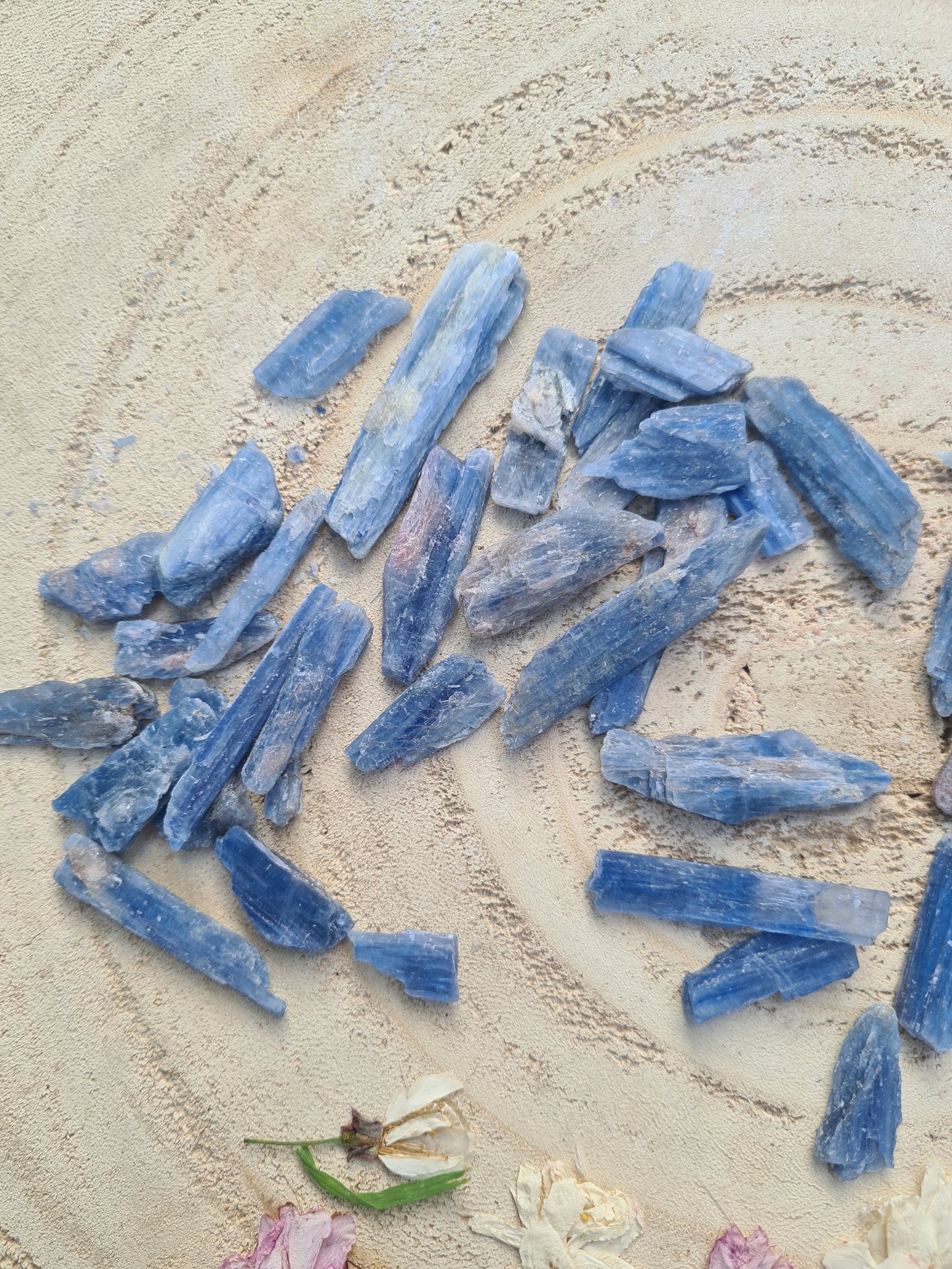 Rough Blue Kyanite Blades