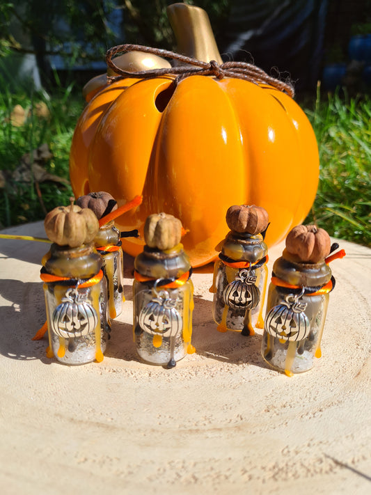 Samhain Protection Jar ~ Pumpkin Charm ~ Putka Pod ~ Halloween