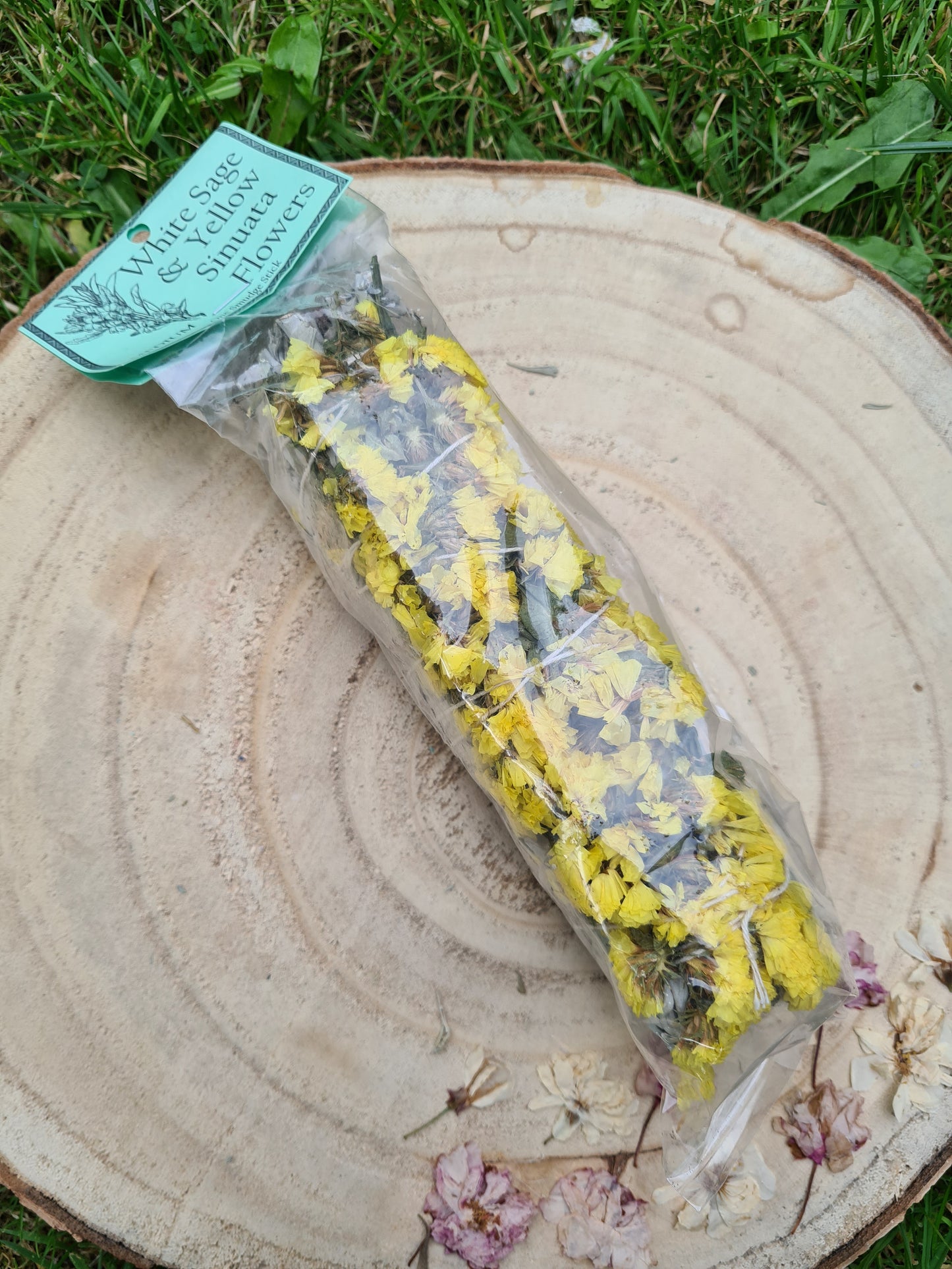 Large 7inch Sage Smudge Sticks - Sinuata Flower or Chakra