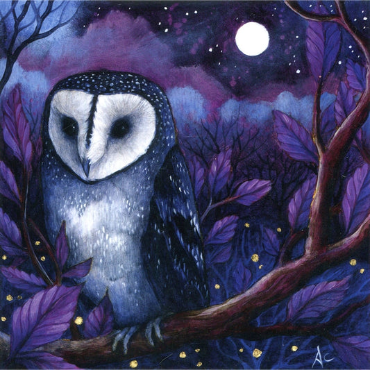 Midnight Owl Greeting Card (Blank)