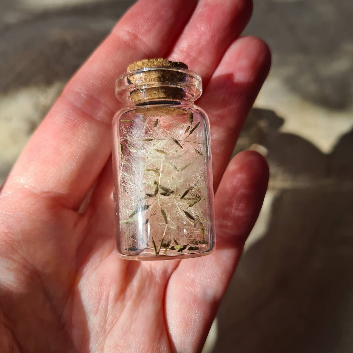 Dandelion wish Bottle ~Magick~Witchcraft~Fairies