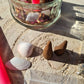 Aphrodite/ Venus Ritual Kit ~Self Love~Loving home~Romantic Love~ Rose Petals~Sea Magick