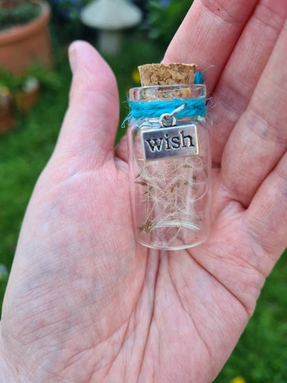 Dandelion wish Bottle ~Magick~Witchcraft~Fairies