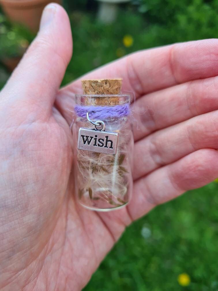 Dandelion wish Bottle ~Magick~Witchcraft~Fairies